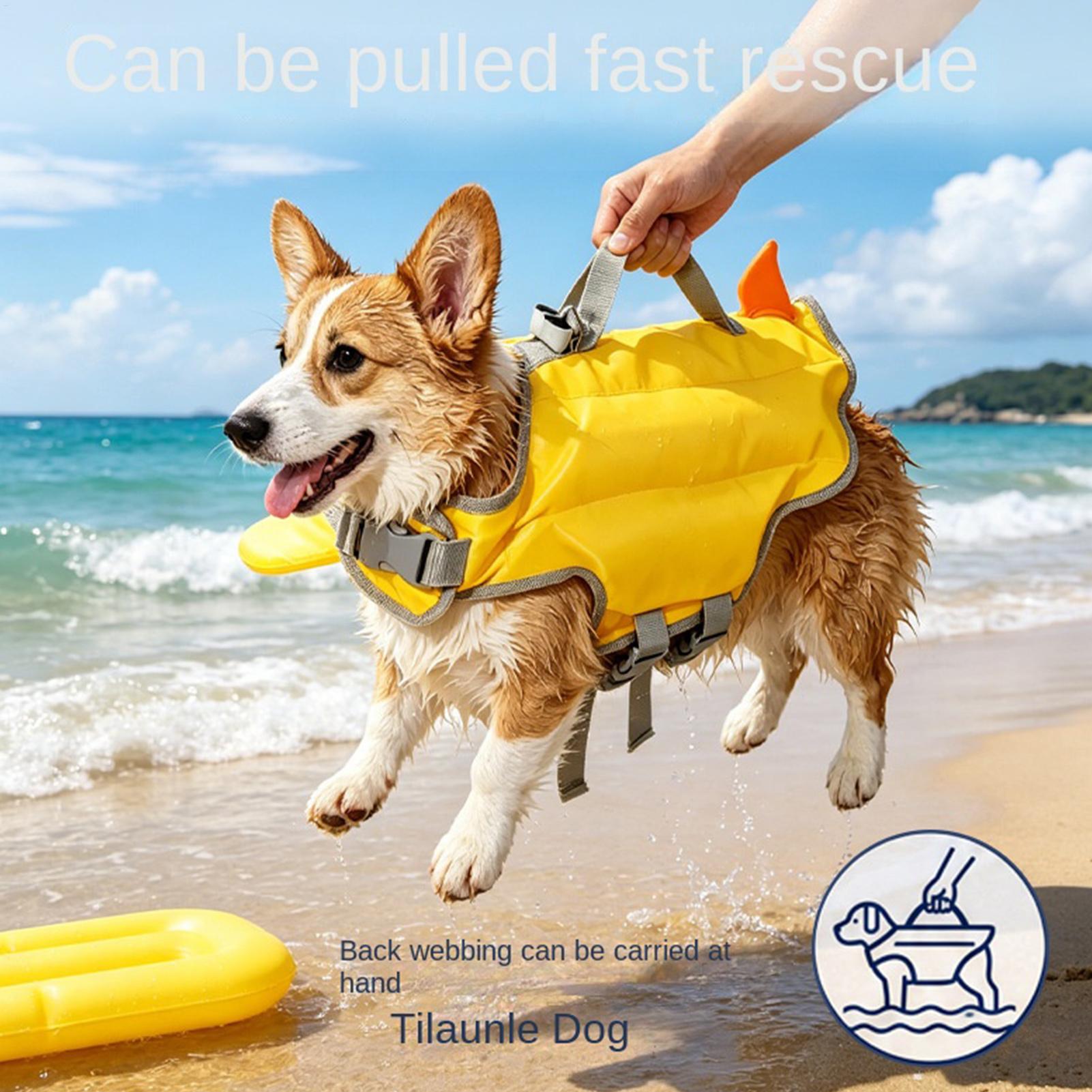 Rompi Pelampung Anjing Daya Ap - Life Jacket Buoyancy ulasan dan harga