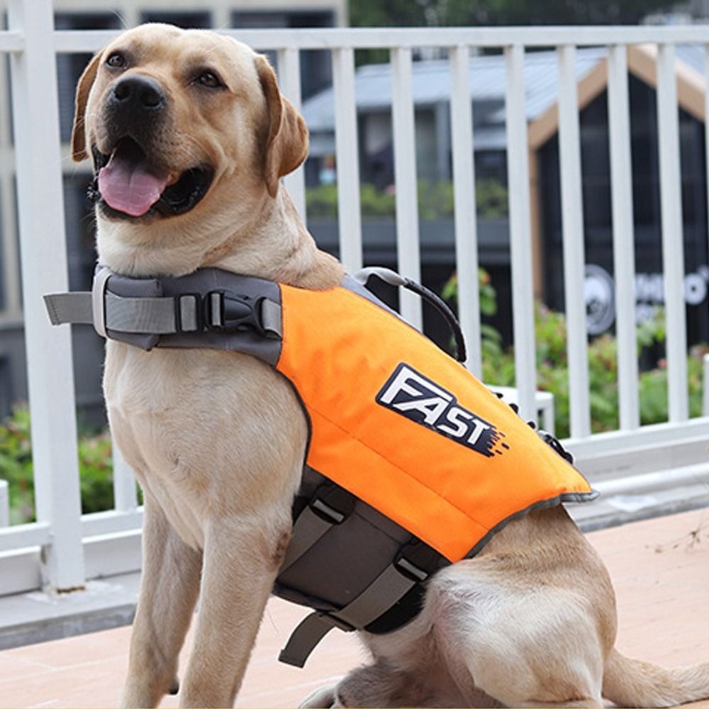 Jaket Renang Hewan Peliharaan  - Life Jacket Buoyancy ulasan dan harga