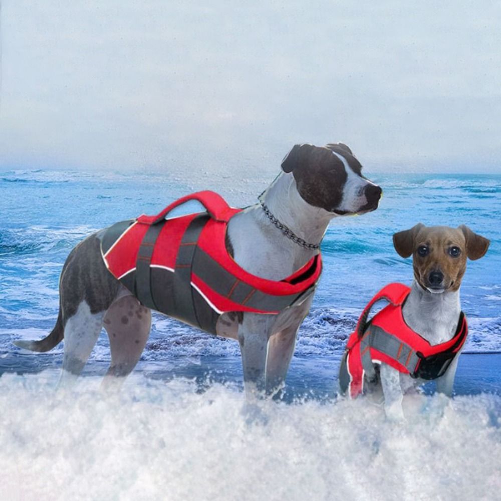 Jaket Pelampung Anjing Reflekt - Life Jacket Buoyancy ulasan dan harga