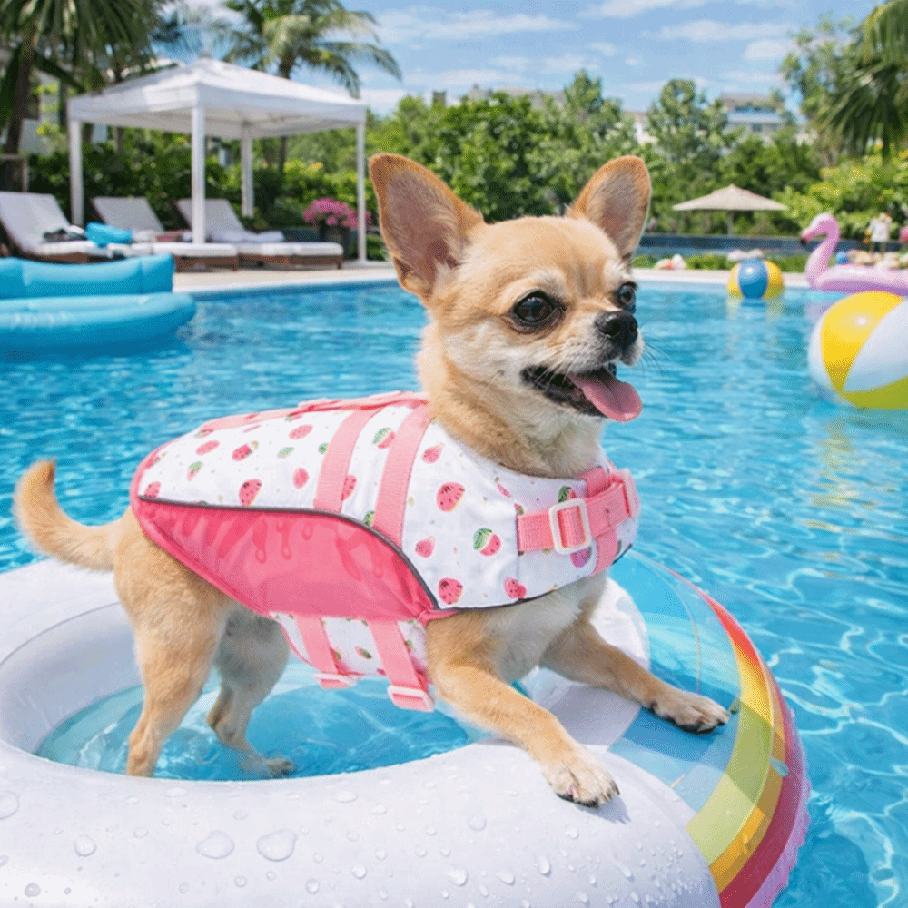 Rompi Pelampung Anjing yang Da - Life Jacket Buoyancy ulasan dan harga